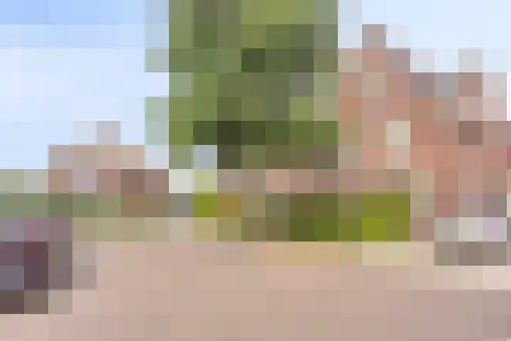 Berg Enk 5 Leusden thumbnail 39