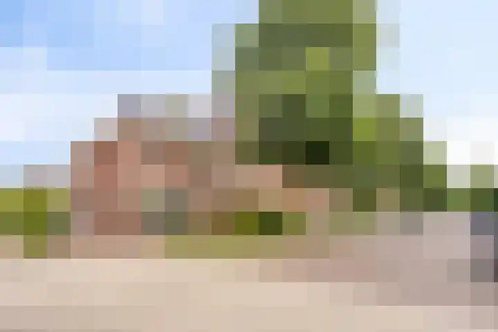 Berg Enk 5 Leusden thumbnail 40
