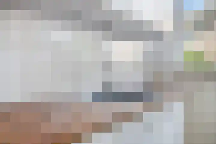 Bergakker 11 Breda thumbnail 10