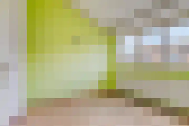 Bergakker 11 Breda thumbnail 14