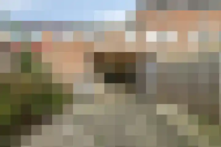 Bergakker 11 Breda thumbnail 19