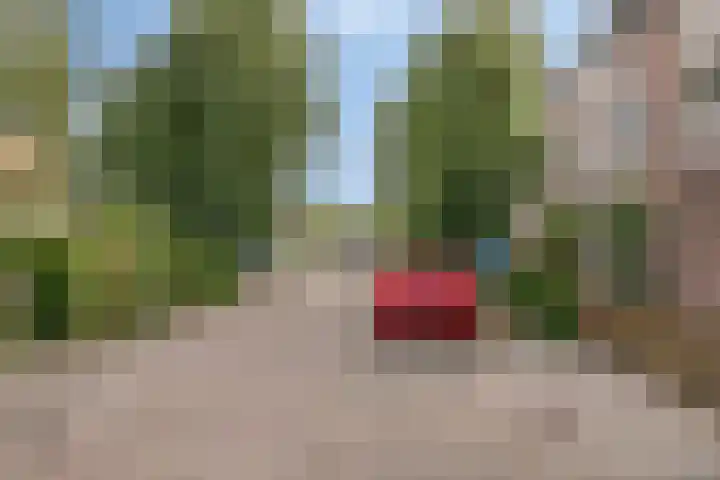 Bergakker 11 Breda thumbnail 21