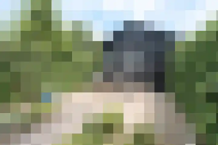 Bergakker 14 Breda thumbnail 23