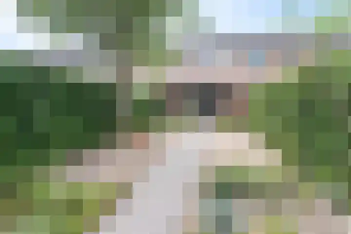 Bergakker 14 Breda thumbnail 5