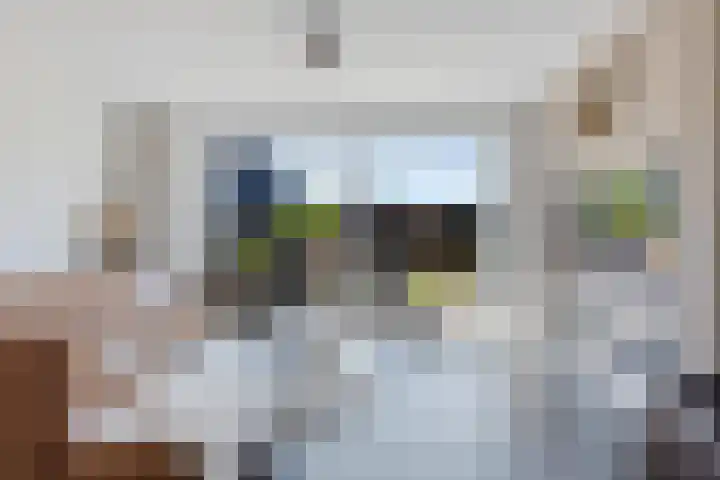 Bergakker 14 Norg thumbnail 14