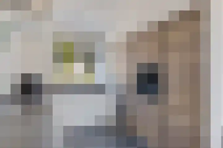 Bergakker 14 Norg thumbnail 19