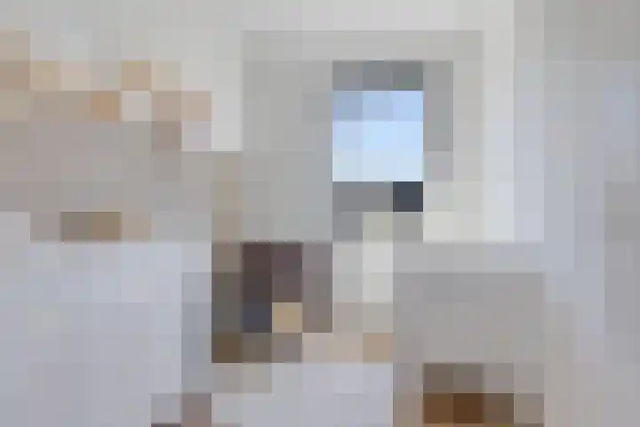 Bergakker 14 Norg thumbnail 26