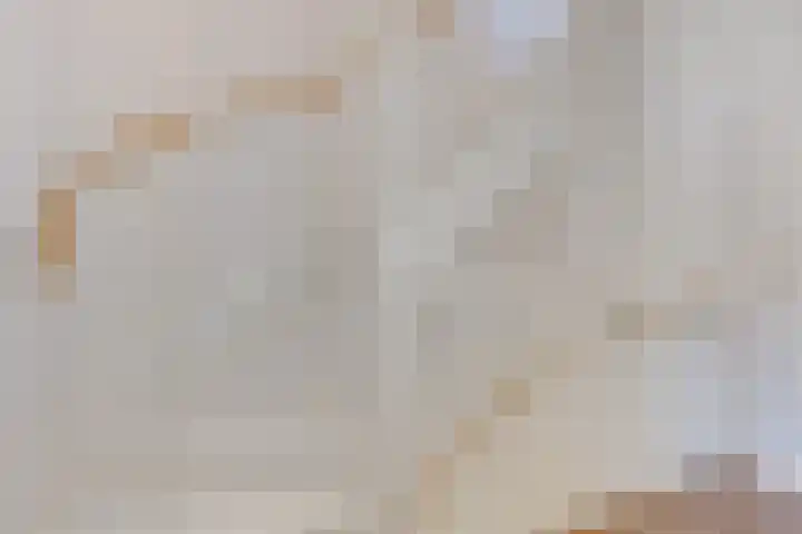 Bergakker 14 Norg thumbnail 30