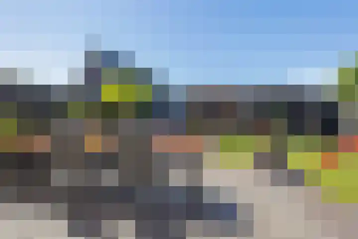 Bergakker 14 Norg thumbnail 33