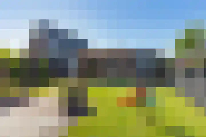 Bergakker 14 Norg thumbnail 35
