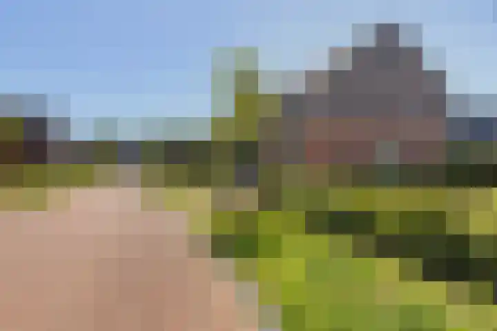 Bergakker 14 Norg thumbnail 43