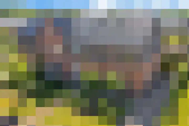 Bergakker 14 Norg thumbnail 45
