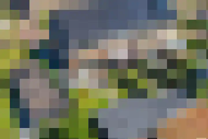 Bergakker 14 Norg thumbnail 46