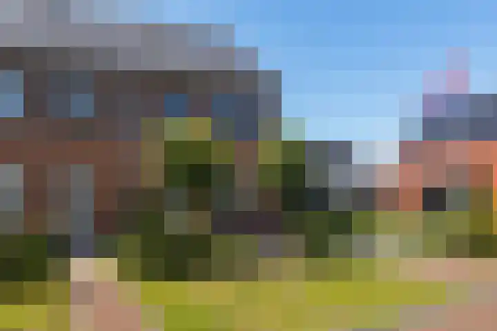Bergakker 14 Norg thumbnail 51