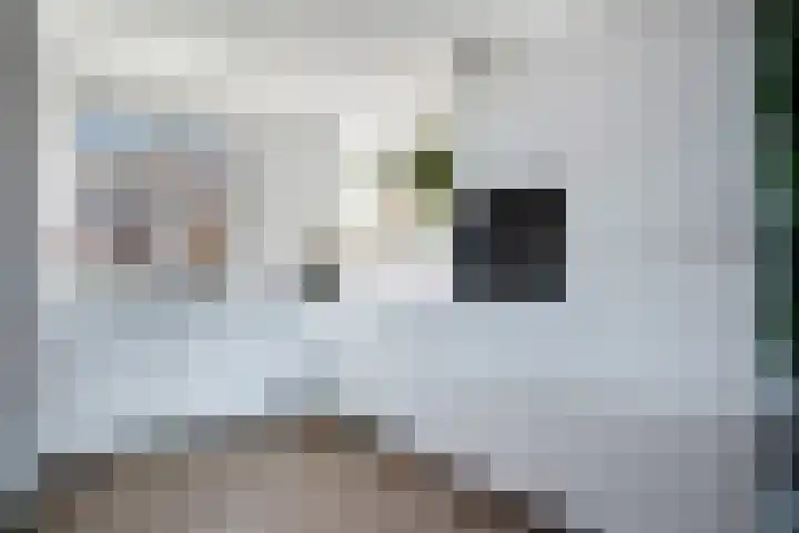 Bergakker 16 Norg thumbnail 18