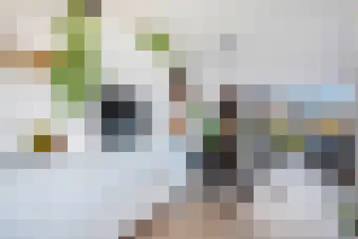 Bergakker 16 Norg thumbnail 20