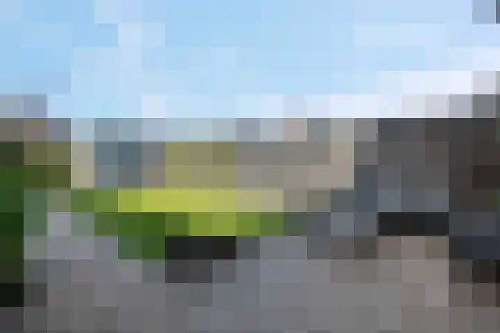 Bergakker 16 Norg thumbnail 21