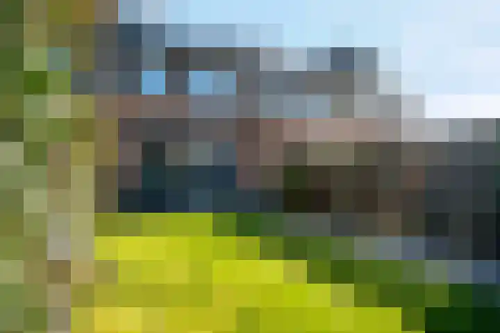 Bergakker 16 Norg thumbnail 25