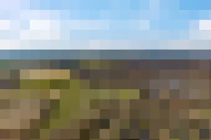 Bergakker 16 Norg thumbnail 35