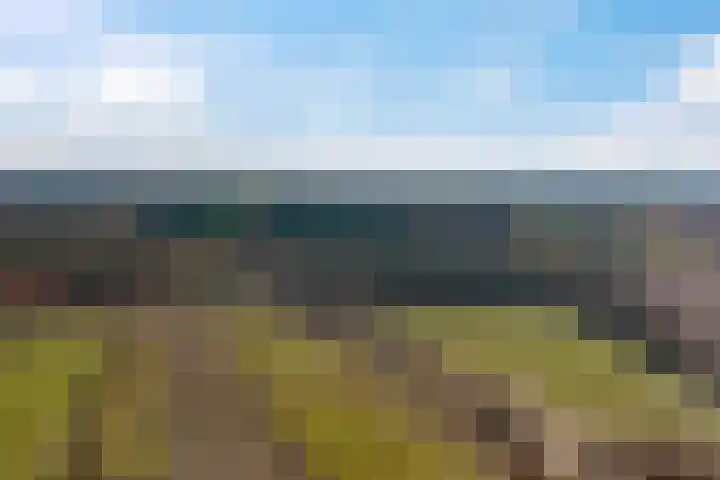 Bergakker 16 Norg thumbnail 36