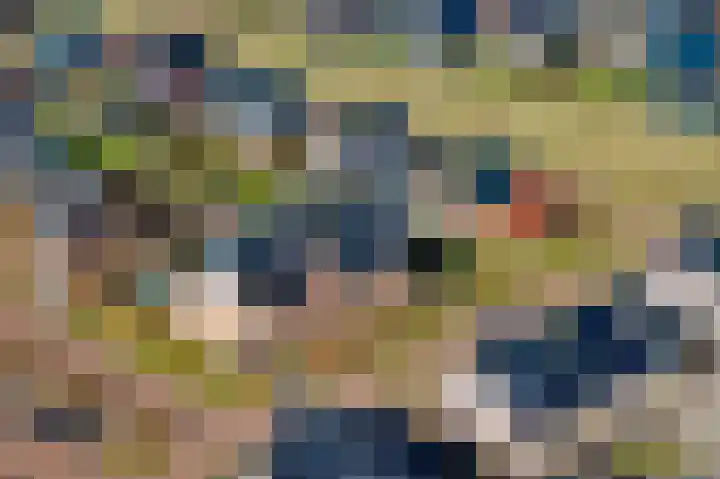 Bergakker 16 Norg thumbnail 37