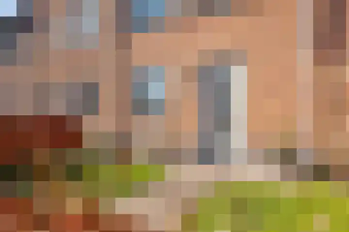 Bergakker 16 Norg thumbnail 6