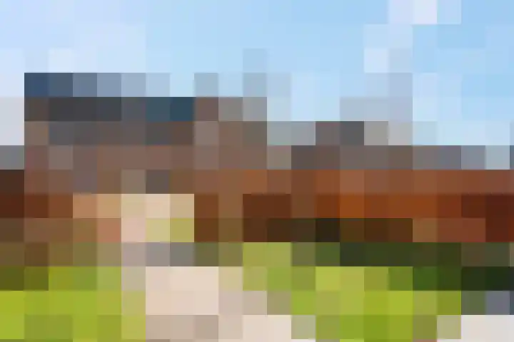 Bergakker 16 Norg thumbnail 7