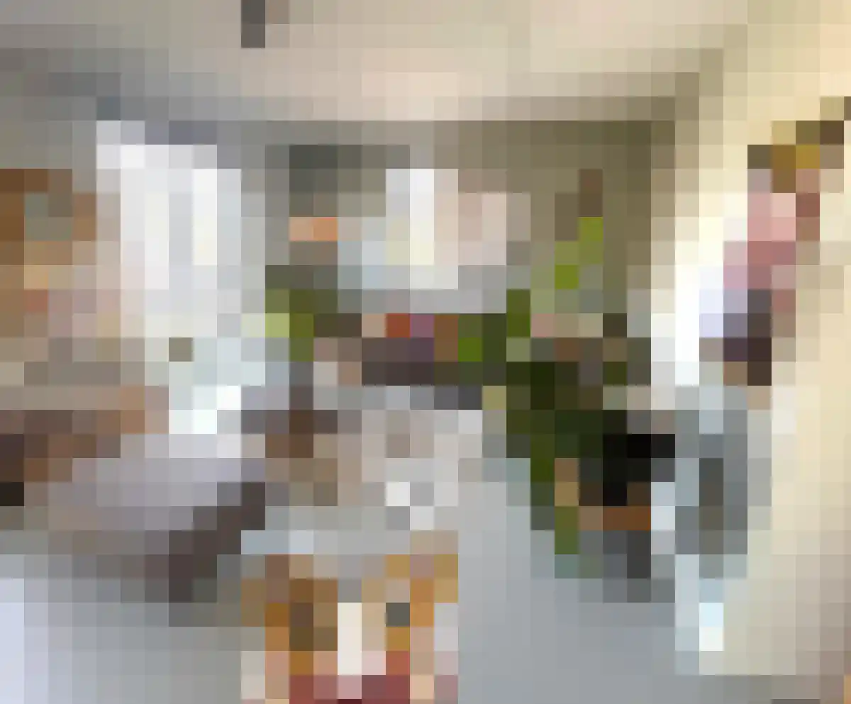 Bergakker 17 Norg thumbnail 4