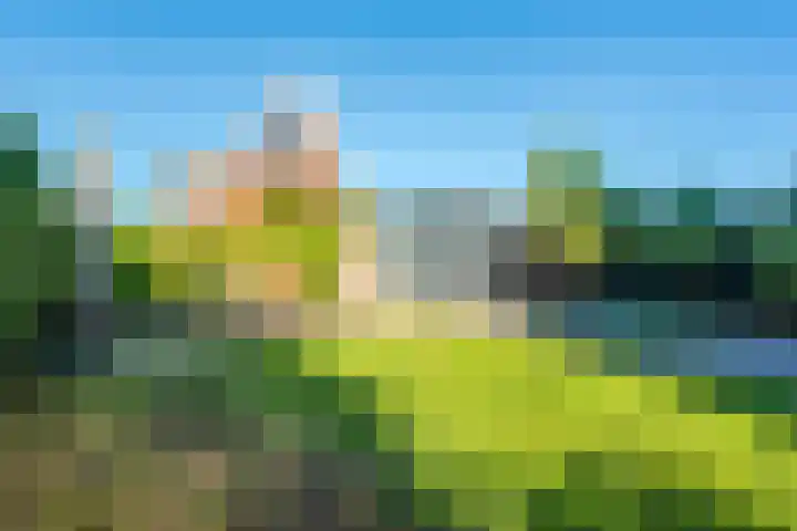 Bergakker 20 Norg thumbnail 23