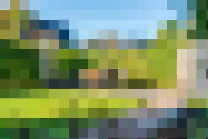 Bergakker 20 Norg thumbnail 24