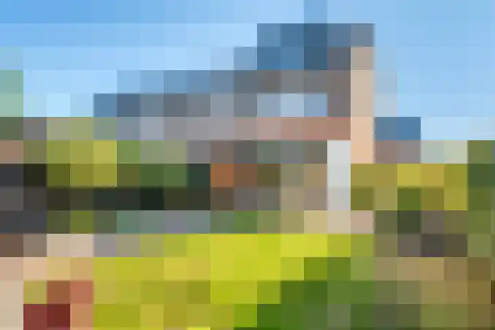 Bergakker 20 Norg thumbnail 25
