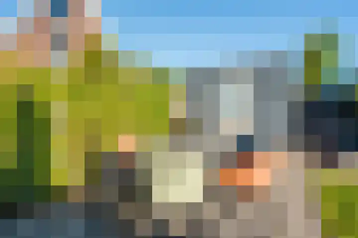 Bergakker 20 Norg thumbnail 26