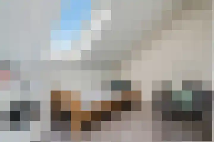 Bergakker 20 Norg thumbnail 40
