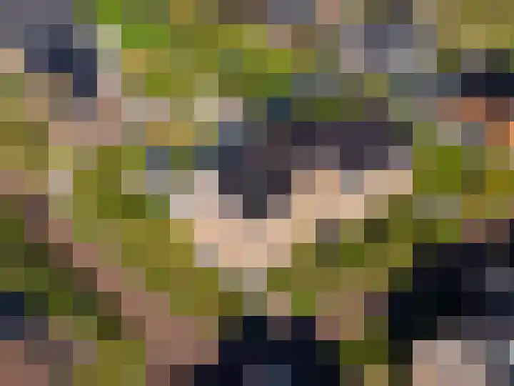 Bergakker 20 Norg thumbnail 43
