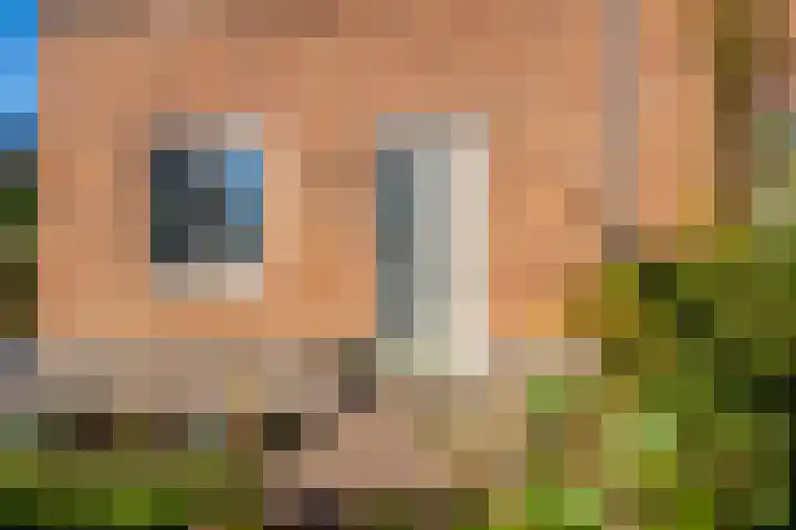 Bergakker 20 Norg thumbnail 6