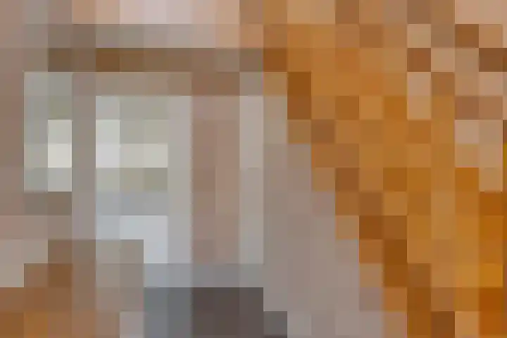 Bergakker 7 Milheeze thumbnail 10