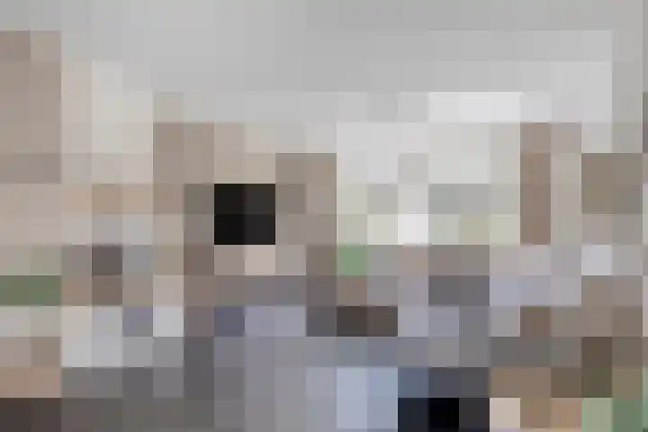 Bergakker 7 Milheeze thumbnail 12