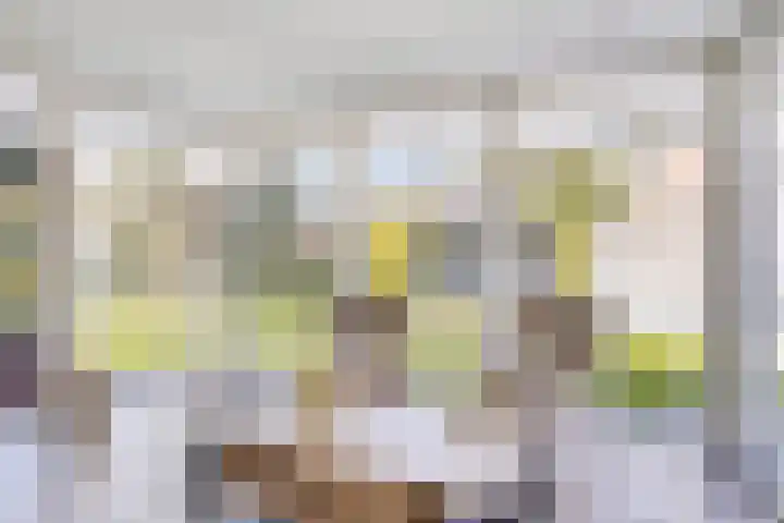 Bergakker 7 Milheeze thumbnail 19