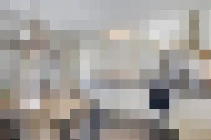 Bergakker 7 Milheeze thumbnail 22