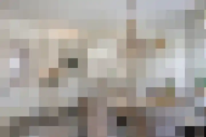 Bergakker 7 Milheeze thumbnail 23