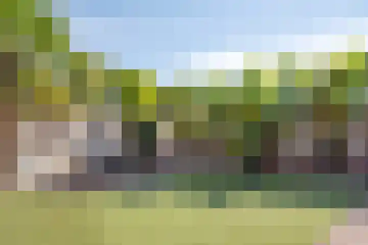 Bergakker 7 Milheeze thumbnail 27