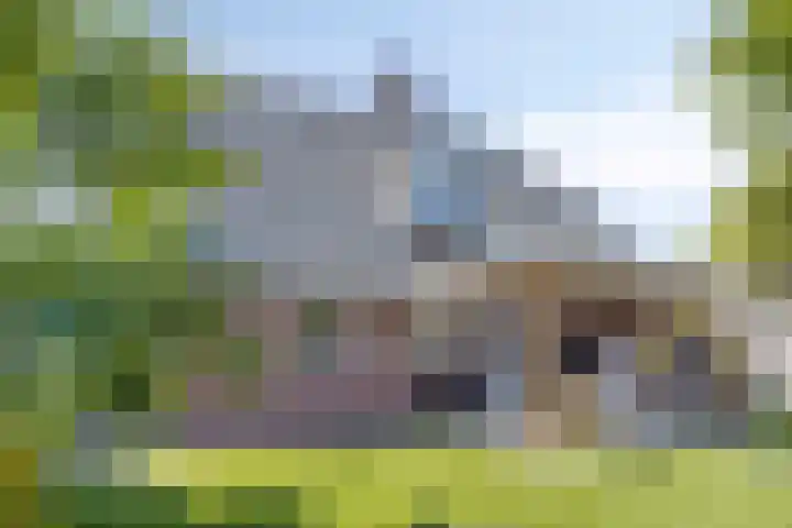 Bergakker 7 Milheeze thumbnail 29