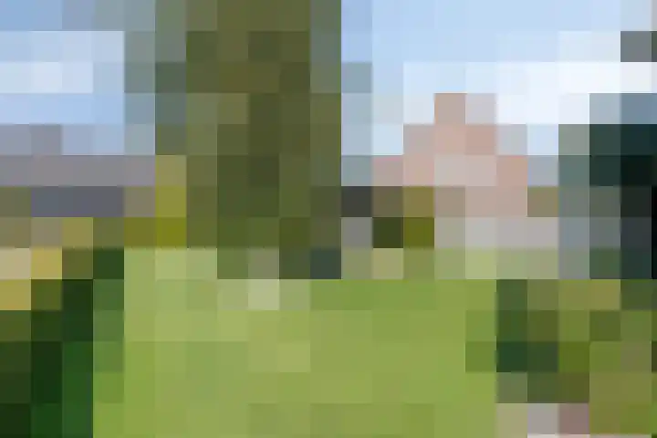 Bergakker 7 Milheeze thumbnail 32