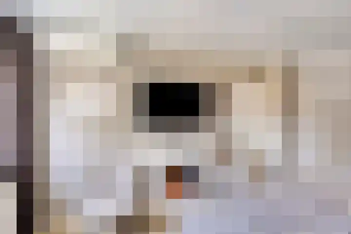 Bergakker 7 Milheeze thumbnail 37