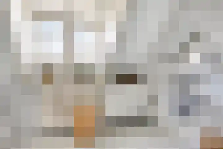 Bergakker 7 Milheeze thumbnail 38