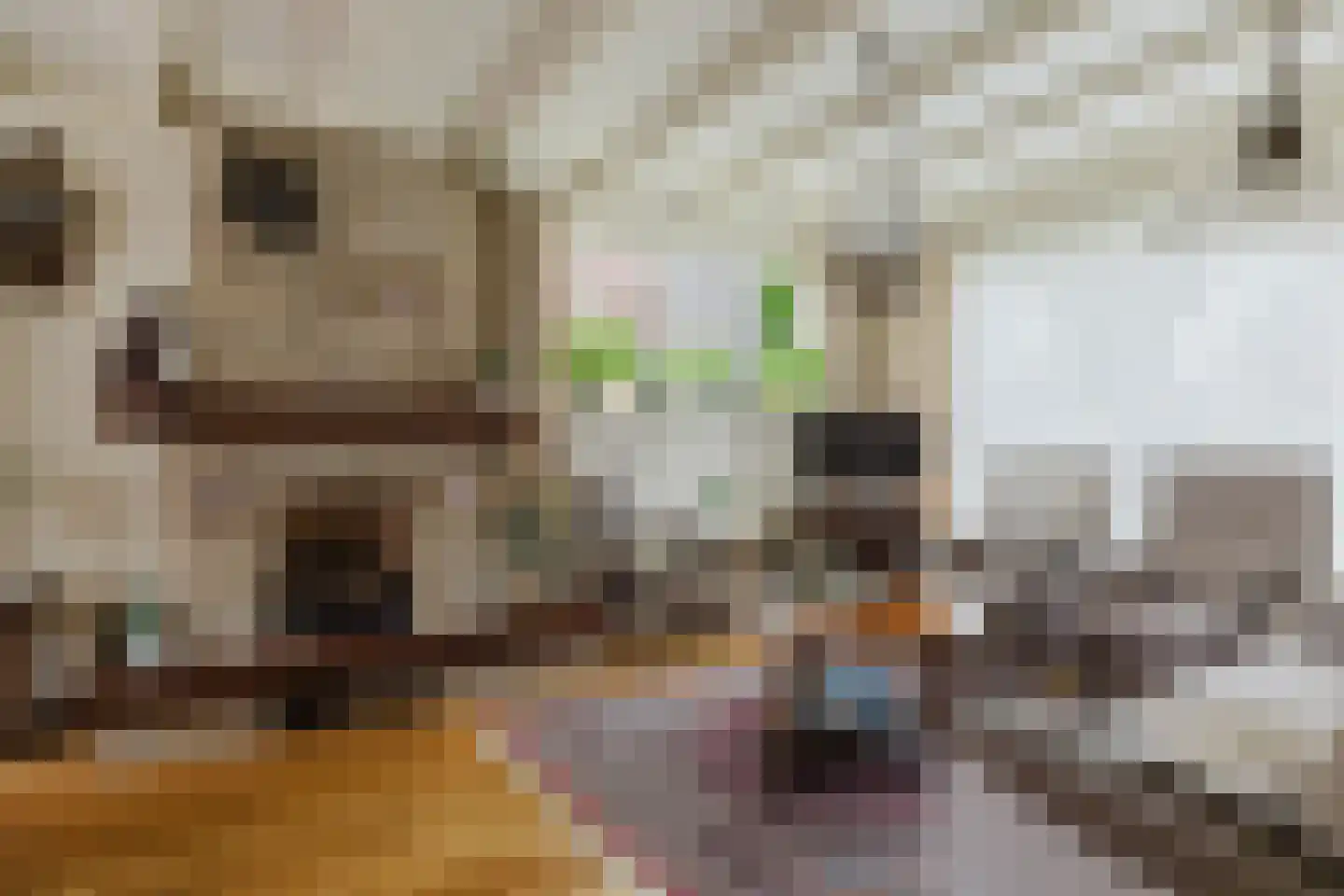 Bergakker 9 Schijf thumbnail 11
