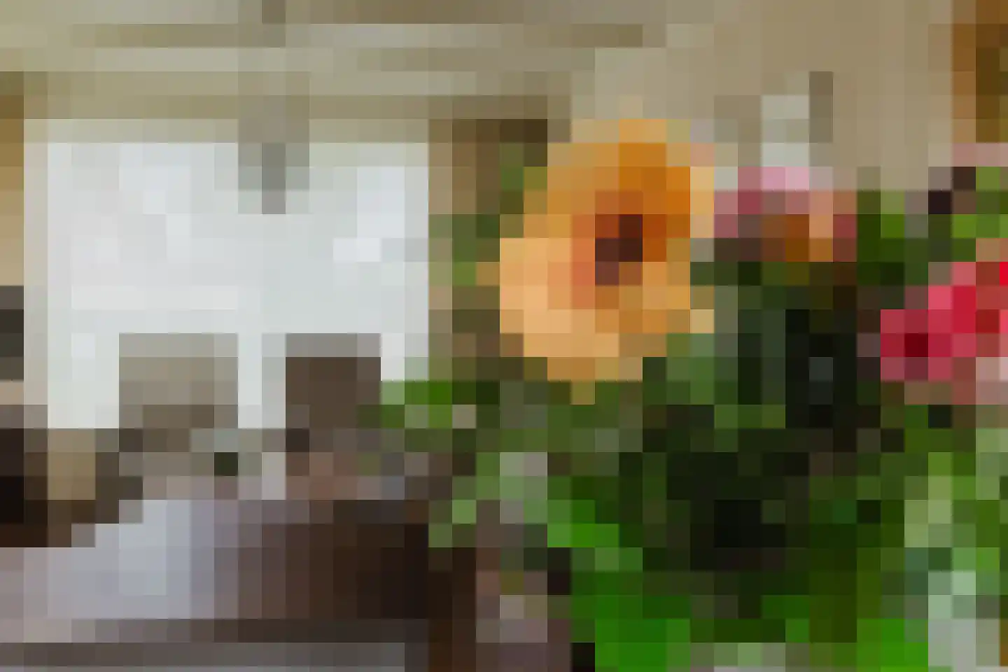 Bergakker 9 Schijf thumbnail 13