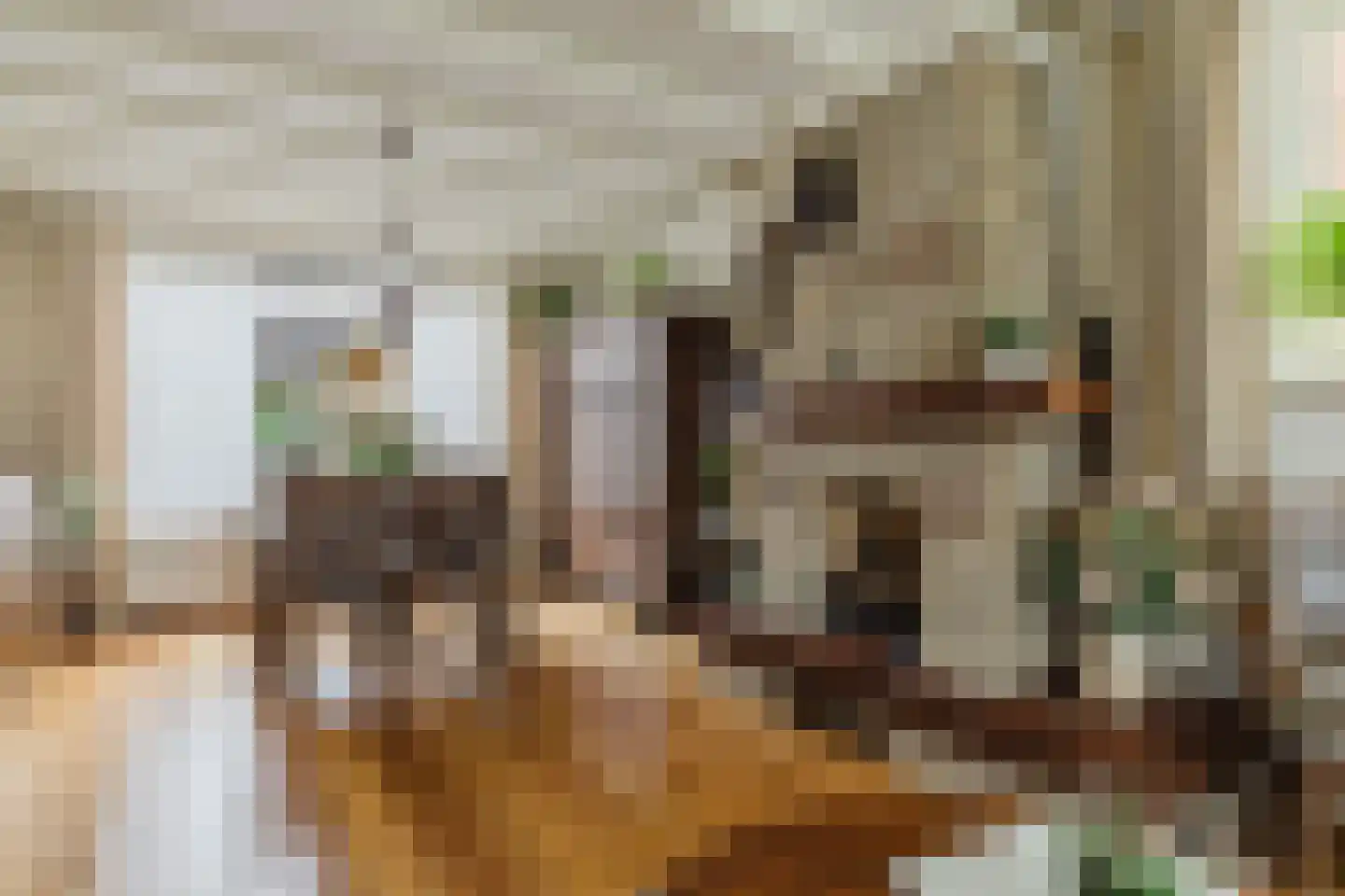 Bergakker 9 Schijf thumbnail 14