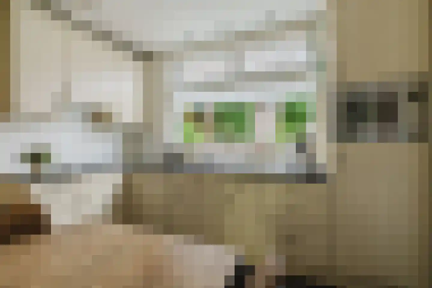 Bergakker 9 Schijf thumbnail 18