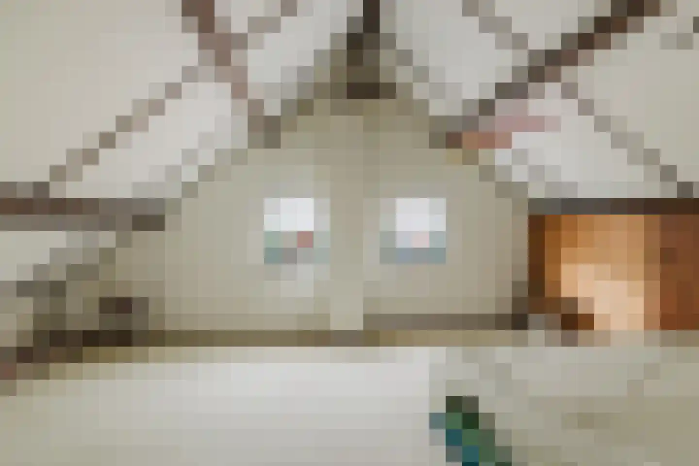 Bergakker 9 Schijf thumbnail 33